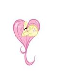 Fluttershy Fluttershy