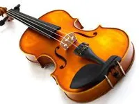 violin violin