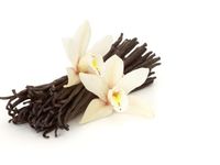 Vanilla Vanilla