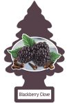 Blackberry Clove Blackberry Clove