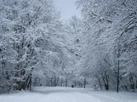 Snowy Snowy