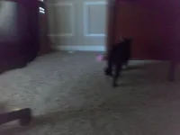 Dis one is da one!