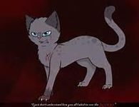 ashfur ashfur