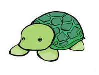 Turtles Turtles