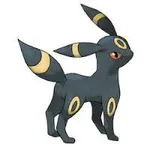 umbreon umbreon