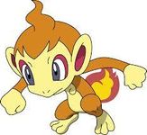 Chimchar Chimchar