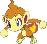 Chimchar Chimchar