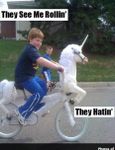 They See me rollin' They Hatin' (0_0) ( I: ) (o-o) ( :I ) (0_0) (its a person rolling, Its not too good, I know!) They See me rollin' They Hatin' (0_0) ( I: ) (o-o) ( :I ) (0_0) (its a person rolling, Its not too good, I know!)