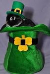 St Patricks bunny! St Patricks bunny!