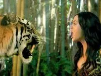 roar