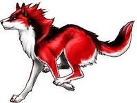 Red Red