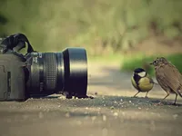 Photography Photography