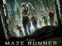 Maze Runner Maze Runner