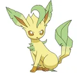 Leafeon Leafeon