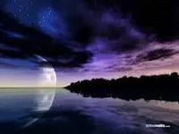 Night Night