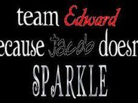 Team Edward-We like 'em sparkly! Team Edward-We like 'em sparkly!