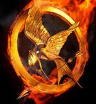Hunger Games Hunger Games