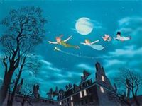 Fly with peter pan? Fly with peter pan?