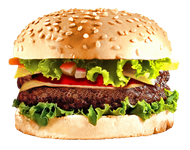 Hamburger Hamburger