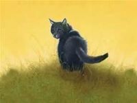 cinderpelt cinderpelt