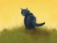 cinderpelt cinderpelt