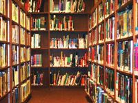Access to all books (released before you've arrived on the island)