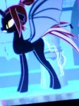 Zora Zora