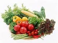 vegetable vegetable