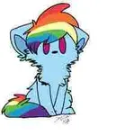 rainbow! rainbow!