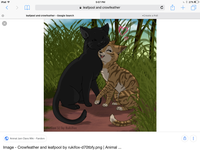 Leafpool x crowfeather Leafpool x crowfeather