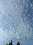 Cirrocumulus Cirrocumulus
