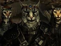 Khajiit Khajiit