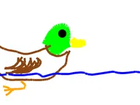 duck