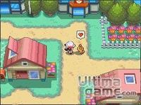 Pokemon Pokemon
