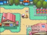 Pokemon Pokemon