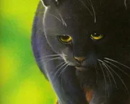 Crowfeather