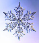 Winter Winter