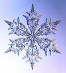 Winter Winter