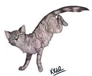 Jayfeather Jayfeather