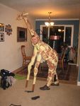 None, I'm a giraffe!
