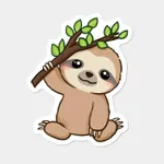 this sloth?