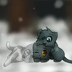 Tom Tom