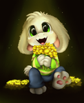Asriel Asriel