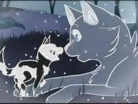 bluestar bluestar