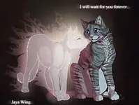jayfeather and halfmoon jayfeather and halfmoon