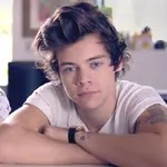 harry styles harry styles