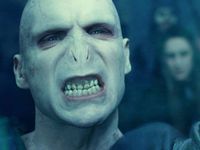 Voldermort Voldermort