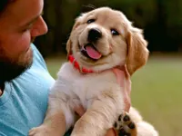 Eat A Puppy Eat A Puppy