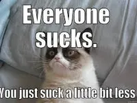 Grumpy cat Grumpy cat