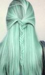 Mint Mint